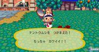 TGS: Nuevas im�genes de Animal Crossing para Wii