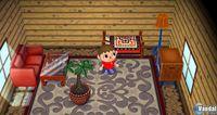 TGS: Nuevas im�genes de Animal Crossing para Wii