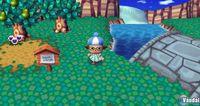 TGS: Nuevas im�genes de Animal Crossing para Wii