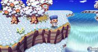 TGS: Nuevas im�genes de Animal Crossing para Wii