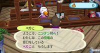 TGS: Nuevas im�genes de Animal Crossing para Wii