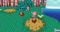 TGS: Nuevas im�genes de Animal Crossing para Wii