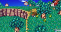 TGS: Nuevas im�genes de Animal Crossing para Wii