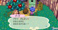 TGS: Nuevas im�genes de Animal Crossing para Wii