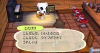 TGS: Nuevas im�genes de Animal Crossing para Wii