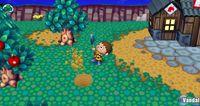 TGS: Nuevas im�genes de Animal Crossing para Wii