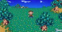 TGS: Nuevas im�genes de Animal Crossing para Wii