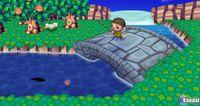TGS: Nuevas im�genes de Animal Crossing para Wii