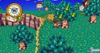 TGS: Nuevas im�genes de Animal Crossing para Wii
