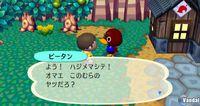 Imagen 70 de Animal Crossing: Let's Go To The City para Wii