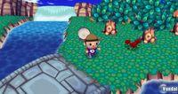TGS: Nuevas im�genes de Animal Crossing para Wii