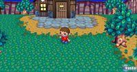 Imagen 84 de Animal Crossing: Let's Go To The City para Wii