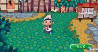 TGS: Nuevas im�genes de Animal Crossing para Wii