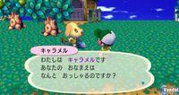Animal Crossing: Let's Go To The City