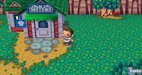 Pantalla Animal Crossing: Let's Go To The City