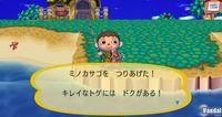 Imagen Animal Crossing: Let's Go To The City