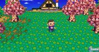 TGS: Nuevas im�genes de Animal Crossing para Wii