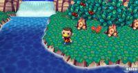 TGS: Nuevas im�genes de Animal Crossing para Wii