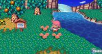 TGS: Nuevas im�genes de Animal Crossing para Wii