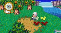 E3: Primeras im�genes de Animal Crossing City Folk