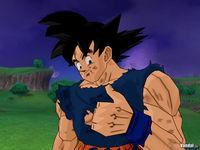 Nuevas im�genes de Dragon Ball Z Budokai Tenkaichi 2