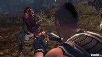 Turok