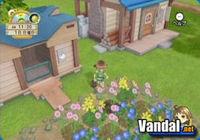 Abierta la web oficial de Harvest Moon para Wii