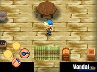 Im�genes de Harvest Moon: You and the Island