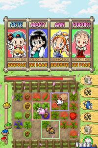 Imagen 8 de Puzzle de Harvest Moon para Nintendo DS