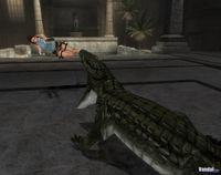 Imagen Tomb Raider Anniversary Edition