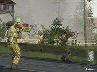 Imagen 3 de ArmA Armed Assault para Ordenador