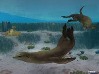 Imagen 3 de Zoo Tycoon 2: Marine Mania para Ordenador