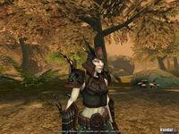 Nuevas im�genes de Chronicles of Spellborn