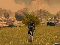 Nuevas im�genes de Chronicles of Spellborn