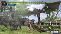 Imagen 38 de Monster Hunter Freedom 2 para PSP