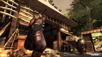 Imagen 49 de Tenchu Z para Xbox 360