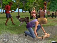 Imagen 30 de Los Sims 2 Mascotas para Ordenador