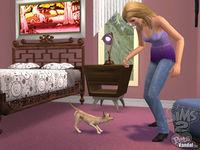 Imagen 33 de Los Sims 2 Mascotas para Ordenador