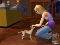 Imagen 32 de Los Sims 2 Mascotas para Ordenador