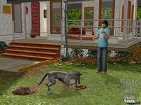Primeras im�genes de Los Sims 2 Mascotas para PC
