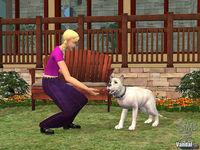 Primeras im�genes de Los Sims 2 Mascotas para PC