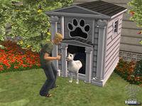 Primeras im�genes de Los Sims 2 Mascotas para PC