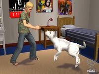 Primeras im�genes de Los Sims 2 Mascotas para PC