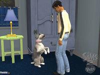 Nuevas im�genes de Los Sims 2 Mascotas para PC