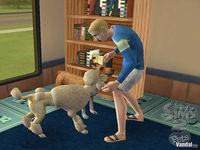 Pantalla Los Sims 2 Mascotas