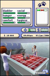 Primeras im�genes de Los Sims 2 Mascotas para Nintendo DS