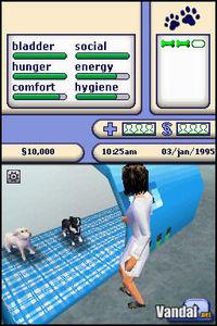 Primeras im�genes de Los Sims 2 Mascotas para Nintendo DS