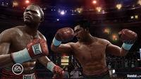 Fight Night Round 3