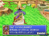 Im�genes y detalles de Chocobo DS