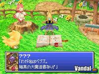 Im�genes y detalles de Chocobo DS